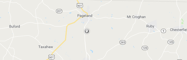 Google Map Pageland, SC